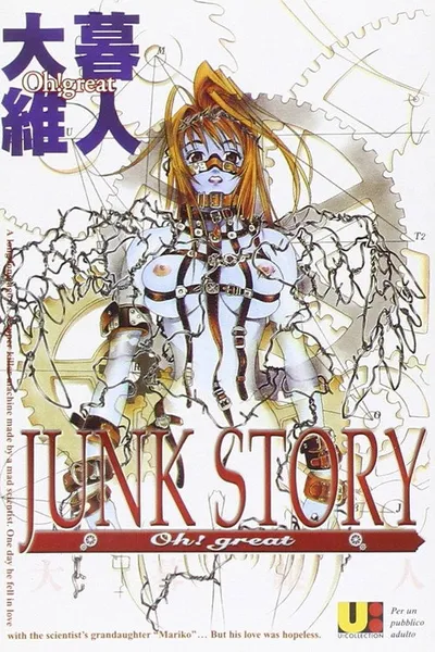 JUNK STORY