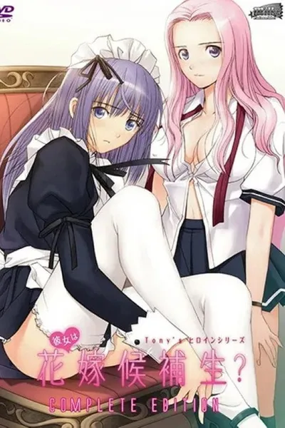 Affiche de Tony's Heroine Series : Kanojo wa Hanayome Kouhosei? Cinderella Collection