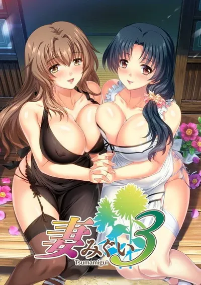 Affiche de Tsumamigui 3 The Animation