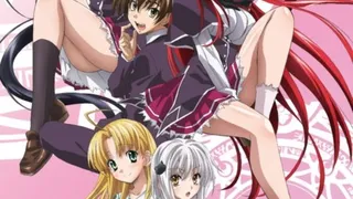 High School DxD