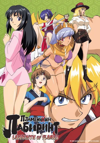 Affiche de Honoo no Labyrinth