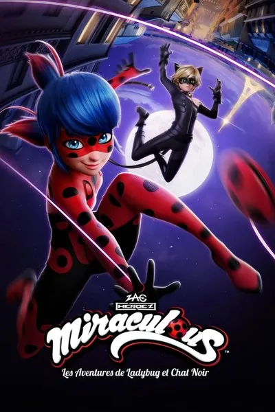 Affiche de Noir
