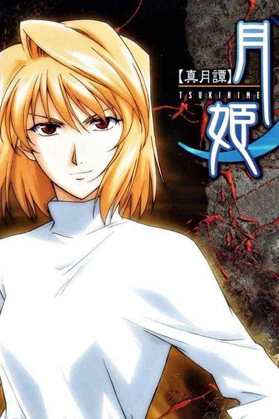 Affiche de Shingetsutan Tsukihime